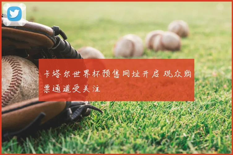 卡塔尔世界杯预售网址开启 观众购票通道受关注