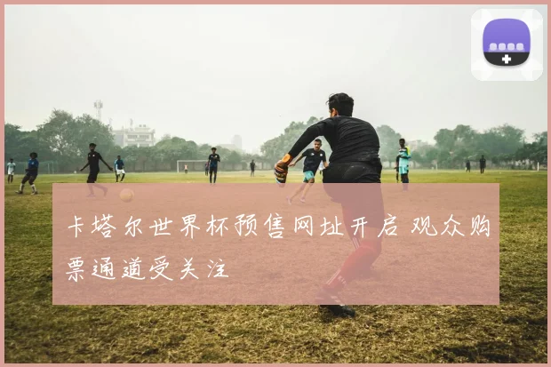 卡塔尔世界杯预售网址开启 观众购票通道受关注