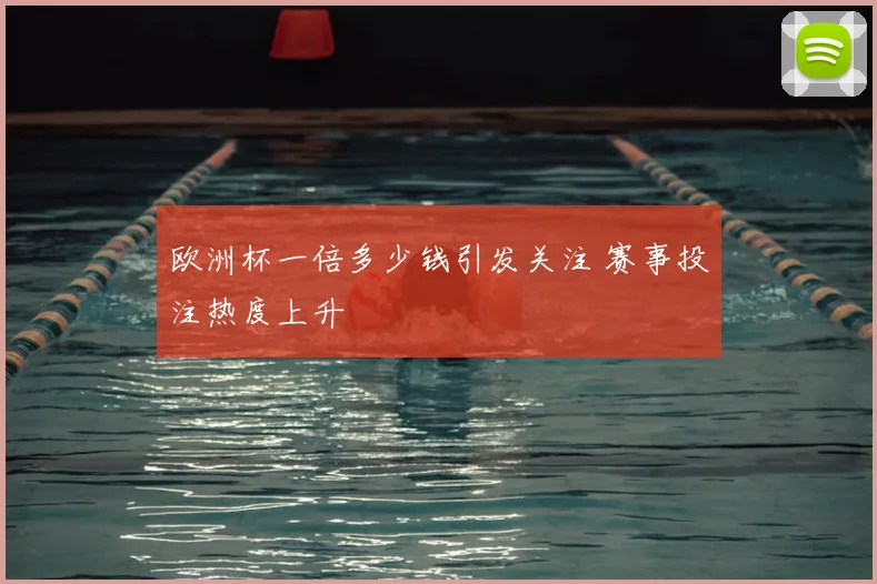 欧洲杯一倍多少钱引发关注 赛事投注热度上升